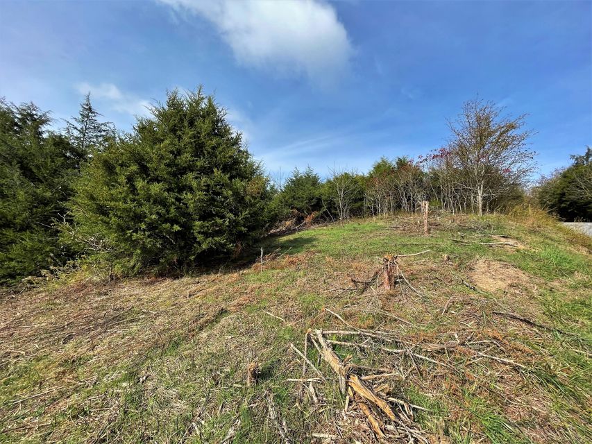 Photo #6: Lot 25 Winterpark Lane