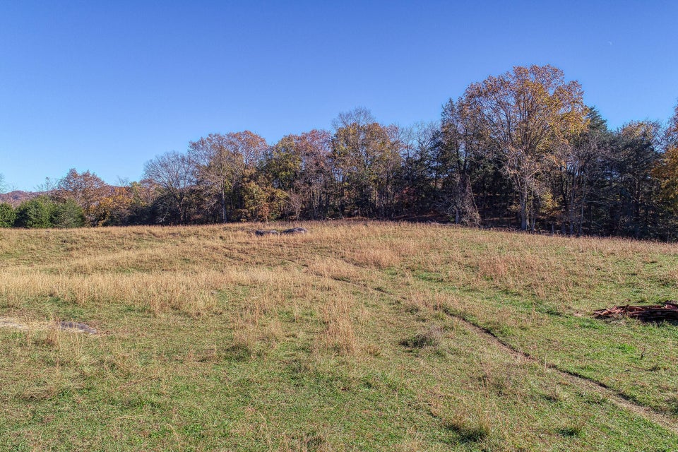 Photo #14: Tbd Highway 66 N