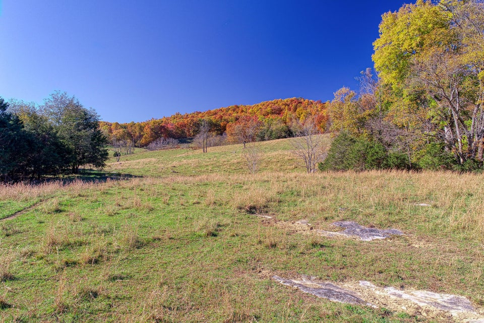 Photo #15: Tbd Highway 66 N