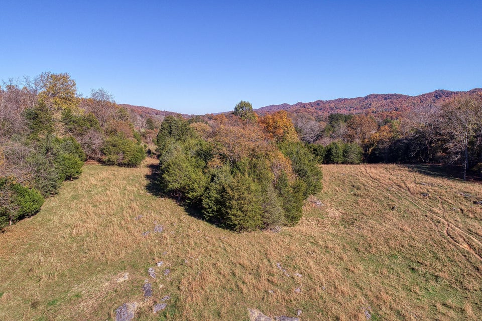 Photo #17: Tbd Highway 66 N