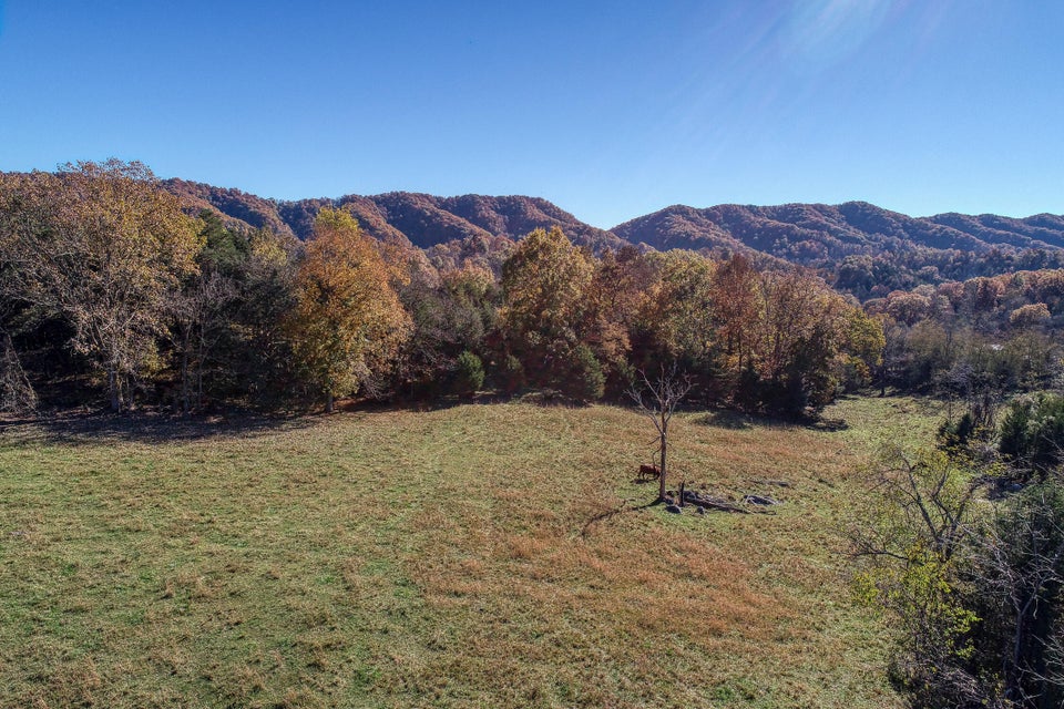 Photo #18: Tbd Highway 66 N