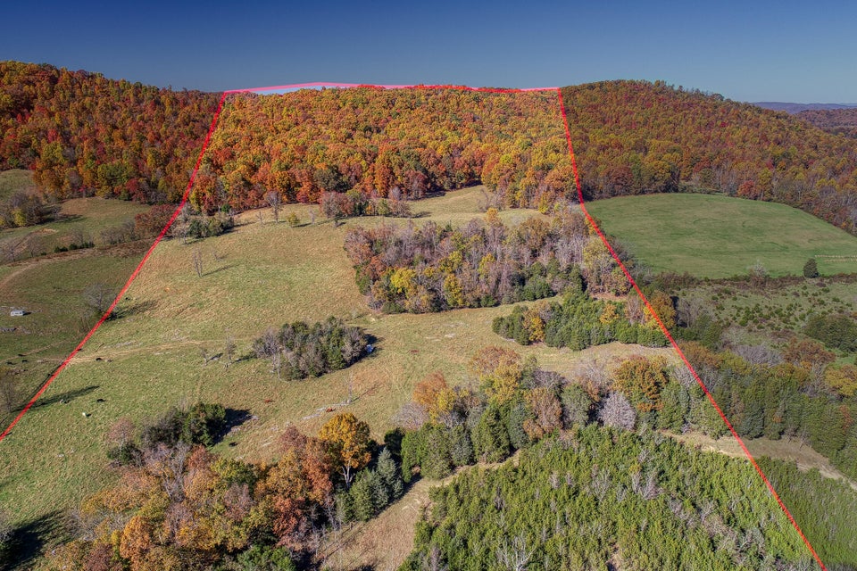 Photo #2: Tbd Highway 66 N