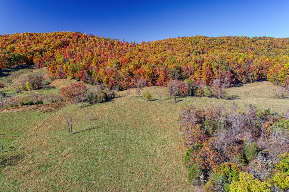 Photo #19: Tbd Highway 66 N