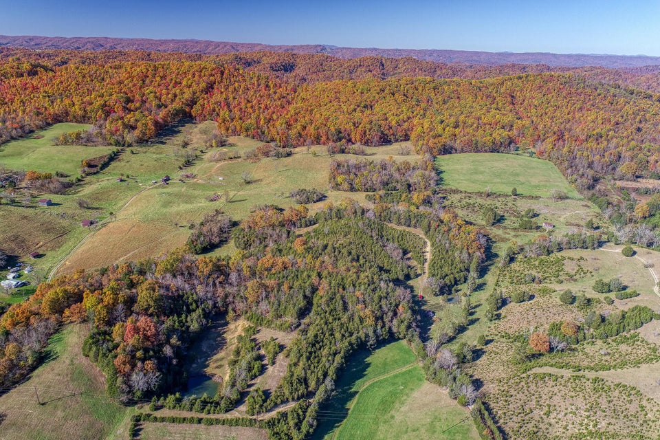 Photo #3: Tbd Highway 66 N