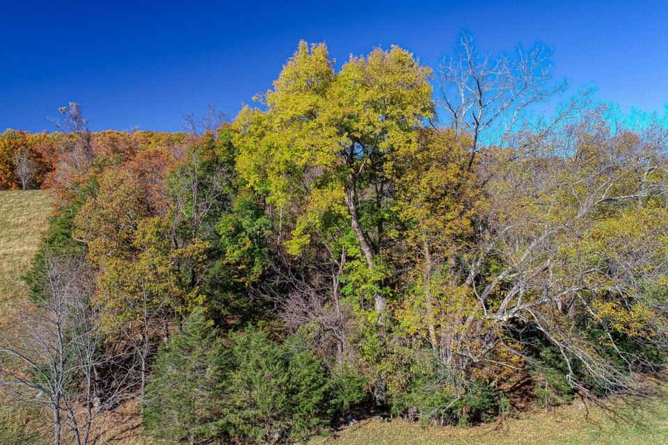 Photo #22: Tbd Highway 66 N