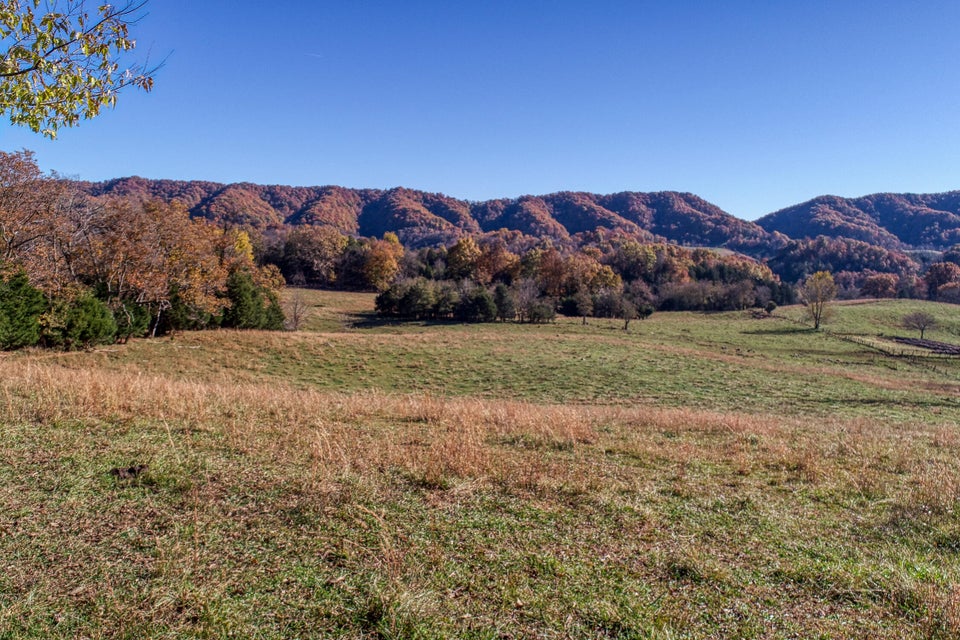 Photo #26: Tbd Highway 66 N