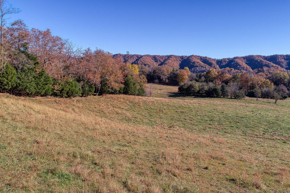 Photo #27: Tbd Highway 66 N
