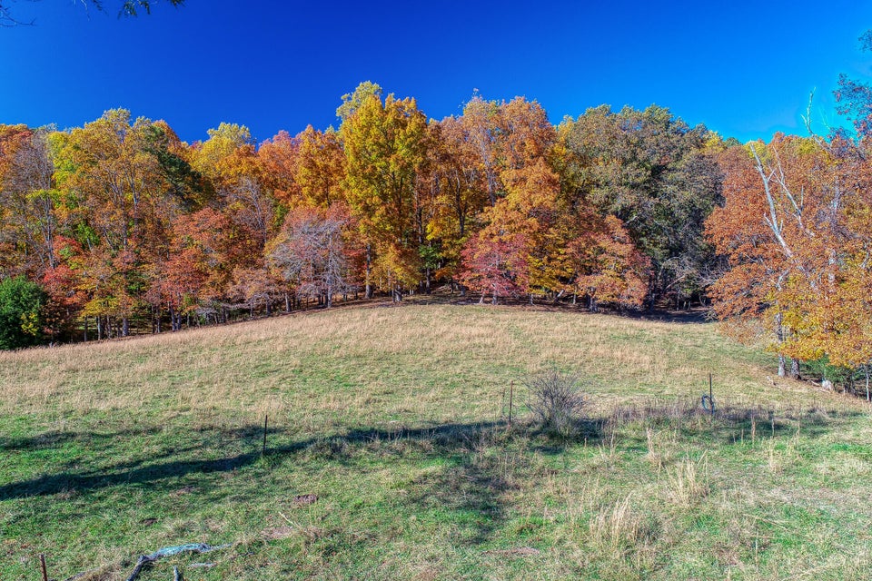 Photo #29: Tbd Highway 66 N