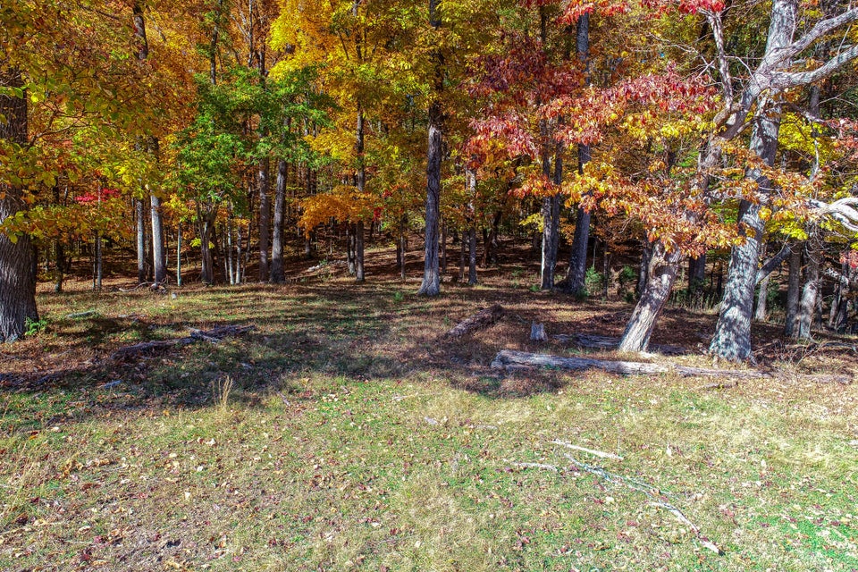 Photo #31: Tbd Highway 66 N