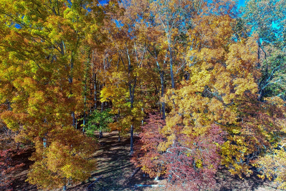 Photo #32: Tbd Highway 66 N