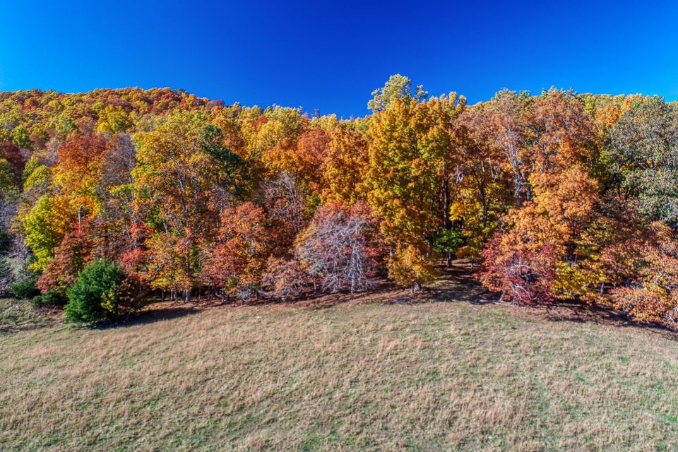 Photo #6: Tbd Highway 66 N