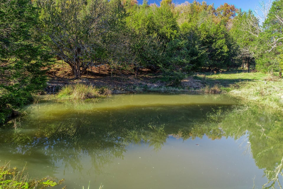 Photo #9: Tbd Highway 66 N