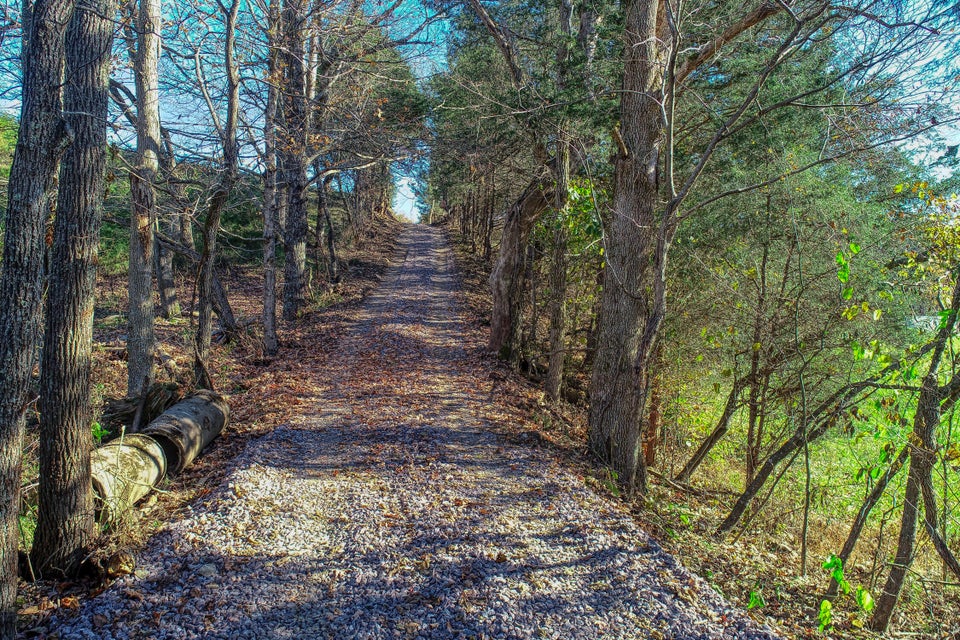 Photo #42: Tbd Highway 66 N