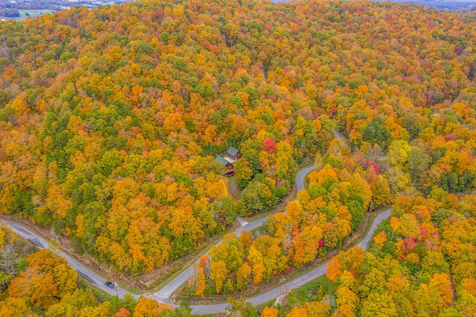 Photo #19: 121 Timber Ridge Road