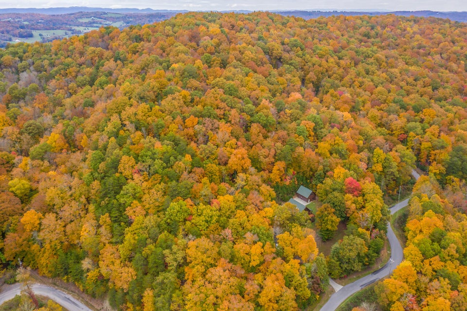 Photo #24: 121 Timber Ridge Road