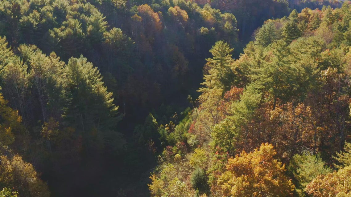 Photo #2: 410 Seay Hollow Road