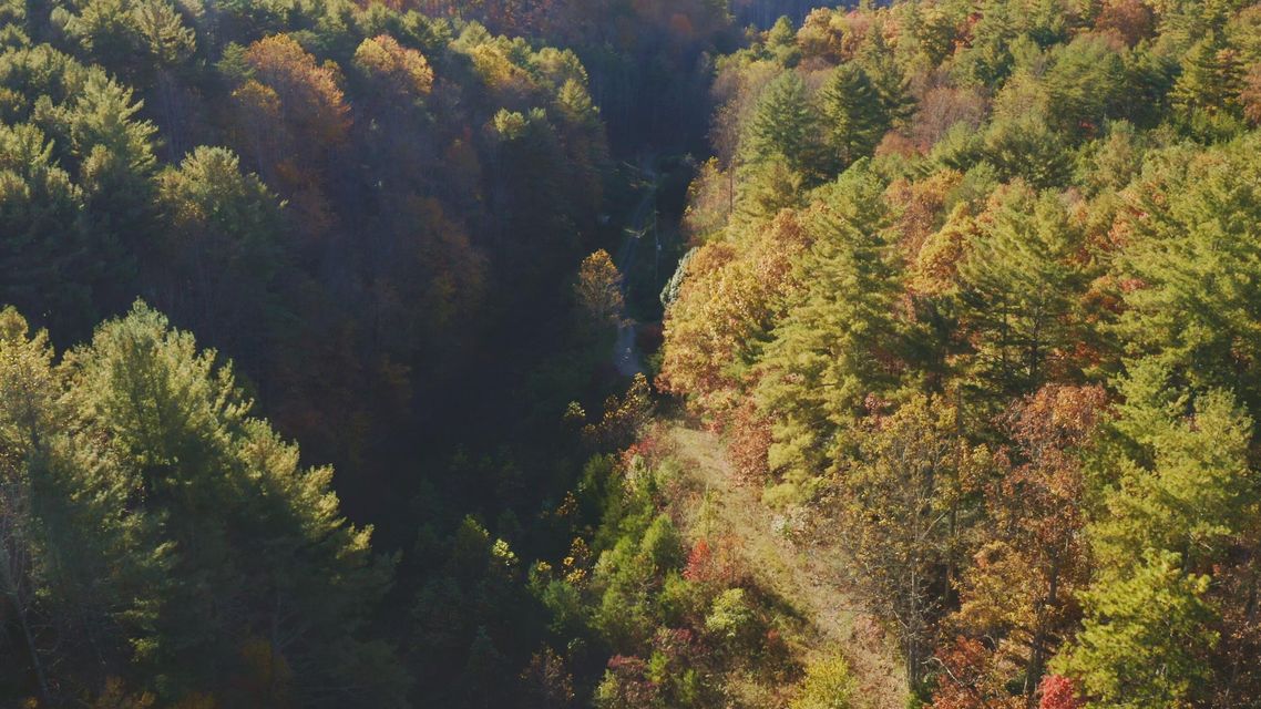 Photo #3: 410 Seay Hollow Road