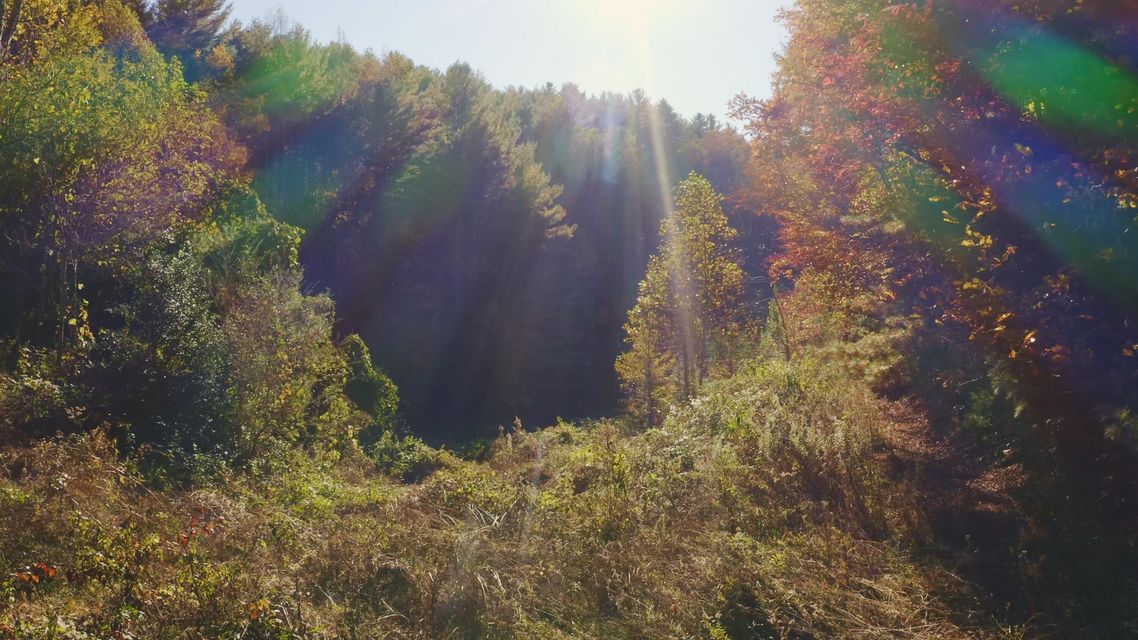 Photo #5: 410 Seay Hollow Road