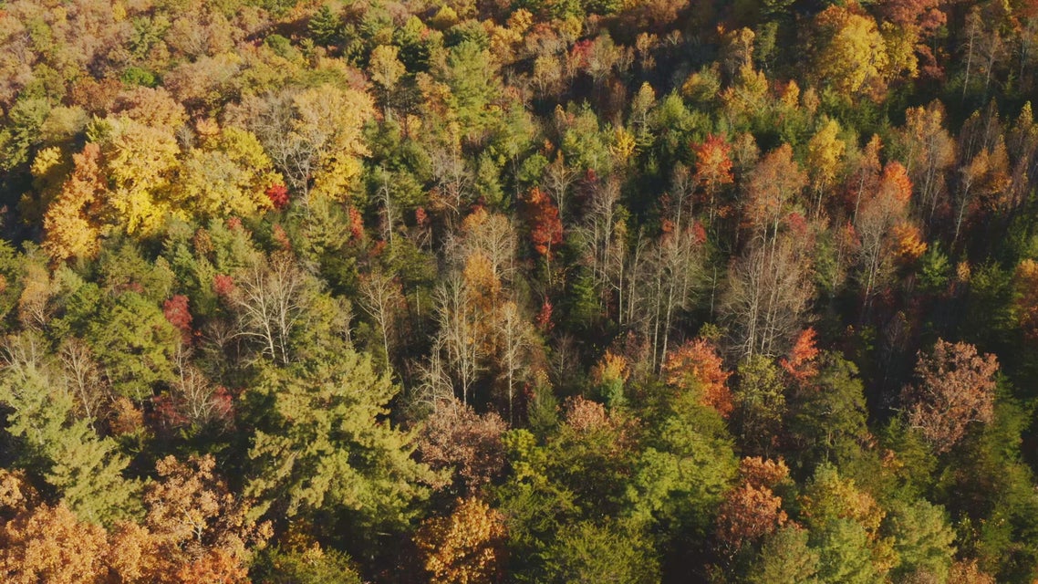 Photo #8: 410 Seay Hollow Road
