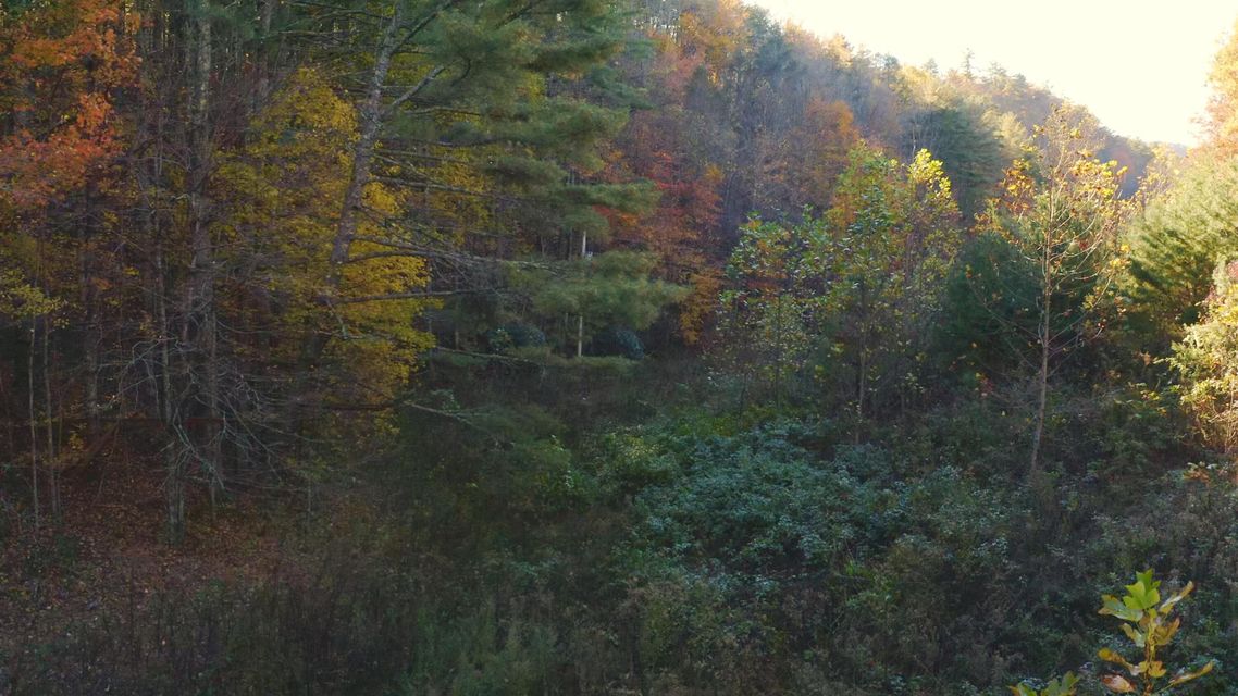 Photo #14: 410 Seay Hollow Road