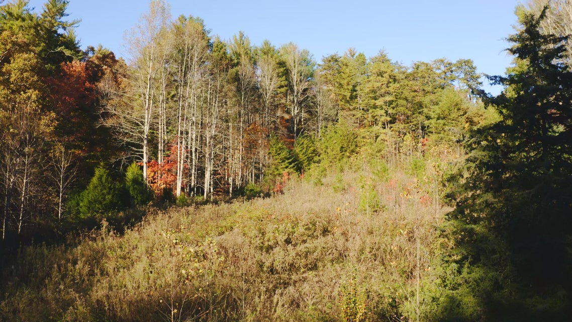 Photo #21: 410 Seay Hollow Road