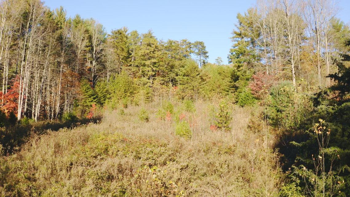 Photo #22: 410 Seay Hollow Road
