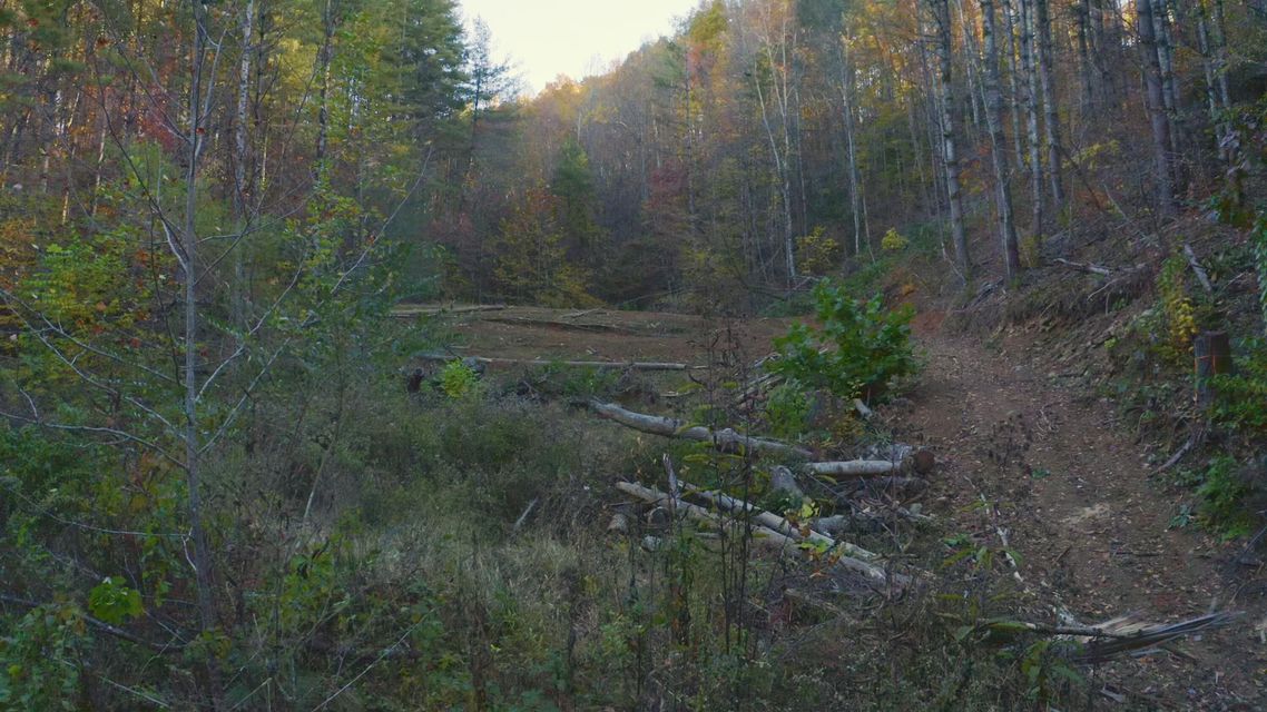 Photo #25: 410 Seay Hollow Road