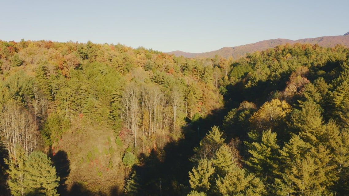 Photo #26: 410 Seay Hollow Road