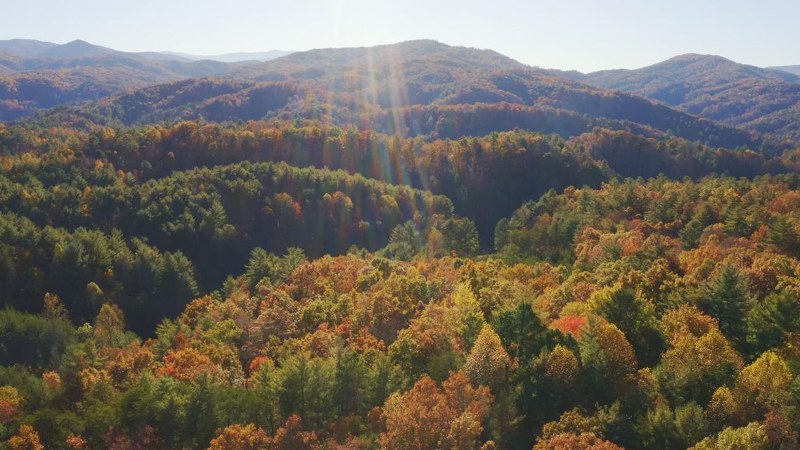 Photo #27: 410 Seay Hollow Road