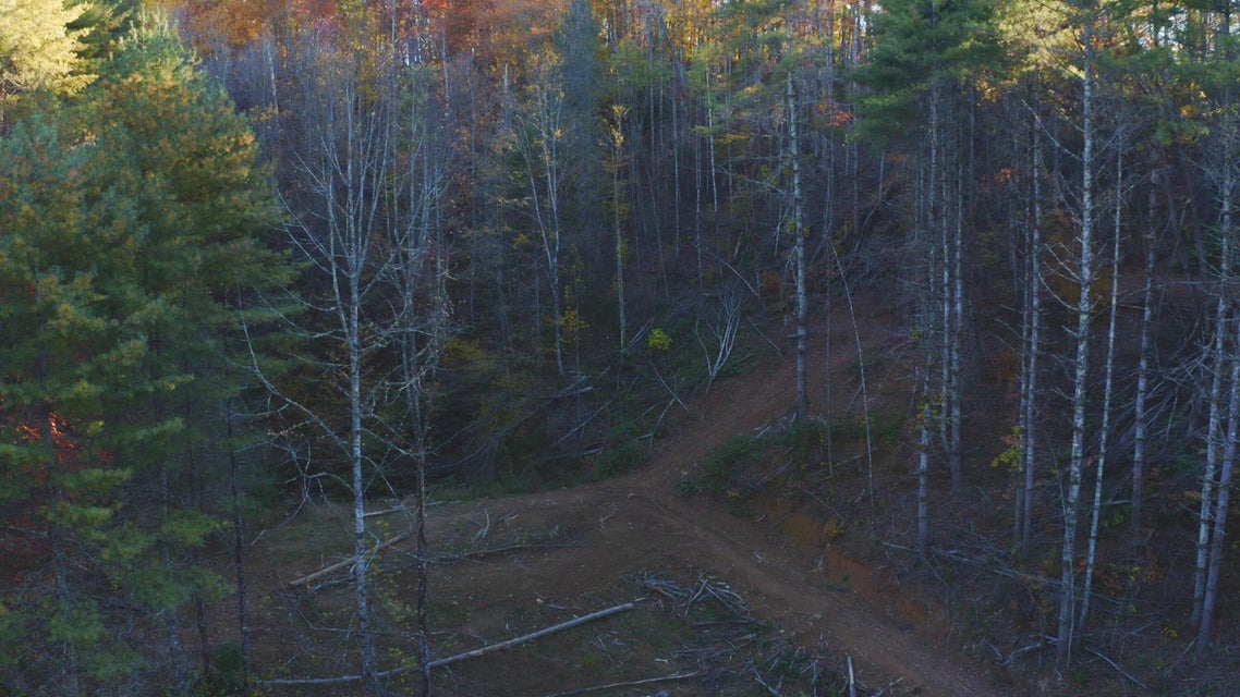 Photo #28: 410 Seay Hollow Road