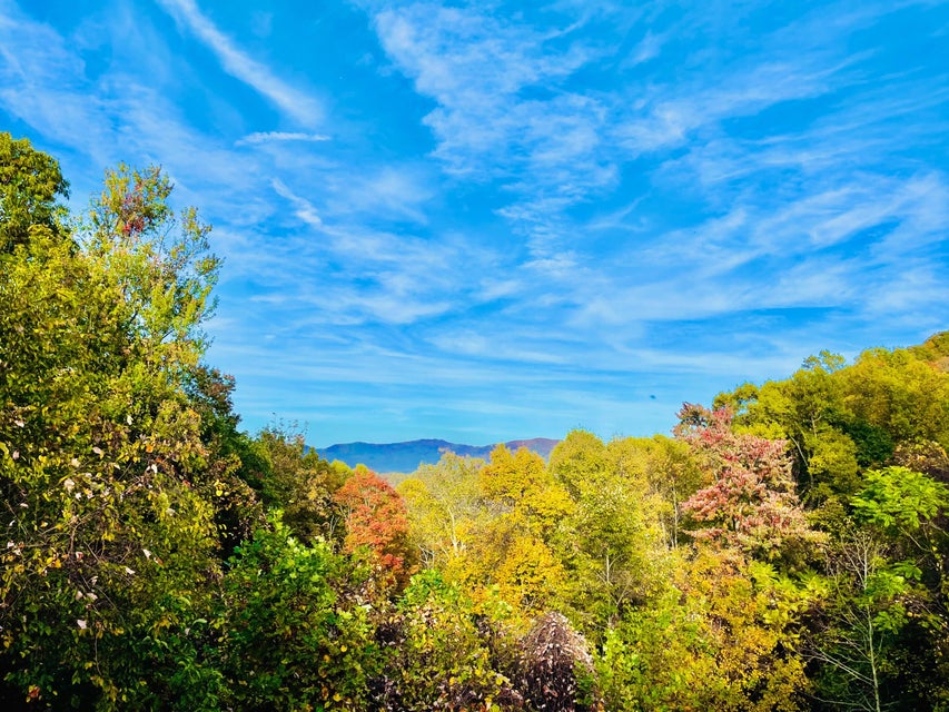 Photo #20: 321 Old Clarktown Road