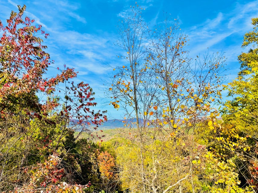 Photo #21: 321 Old Clarktown Road