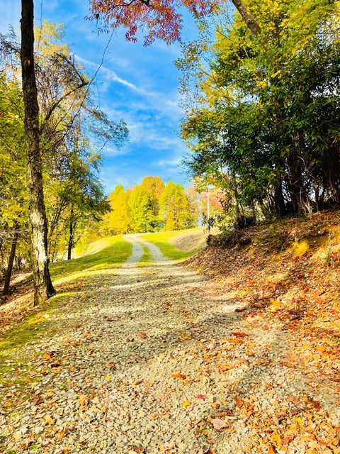Photo #10: 321 Old Clarktown Road