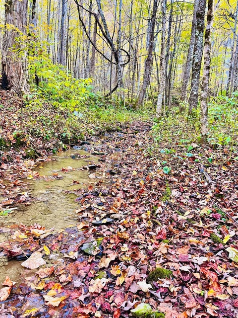 Photo #2: 321 Old Clarktown Road