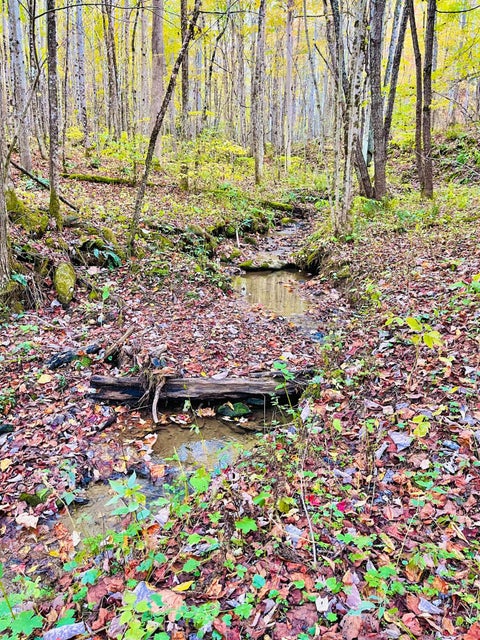 Photo #3: 321 Old Clarktown Road