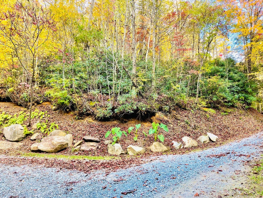 Photo #5: 321 Old Clarktown Road