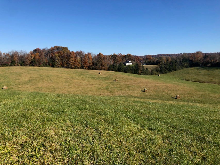 Photo #27: 221 Summit Hill Road