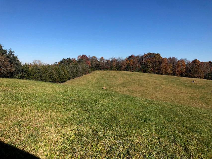 Photo #29: 221 Summit Hill Road