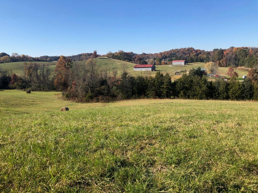 Photo #37: 221 Summit Hill Road