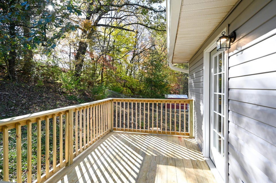 Photo #23: 337 Hemlock Street