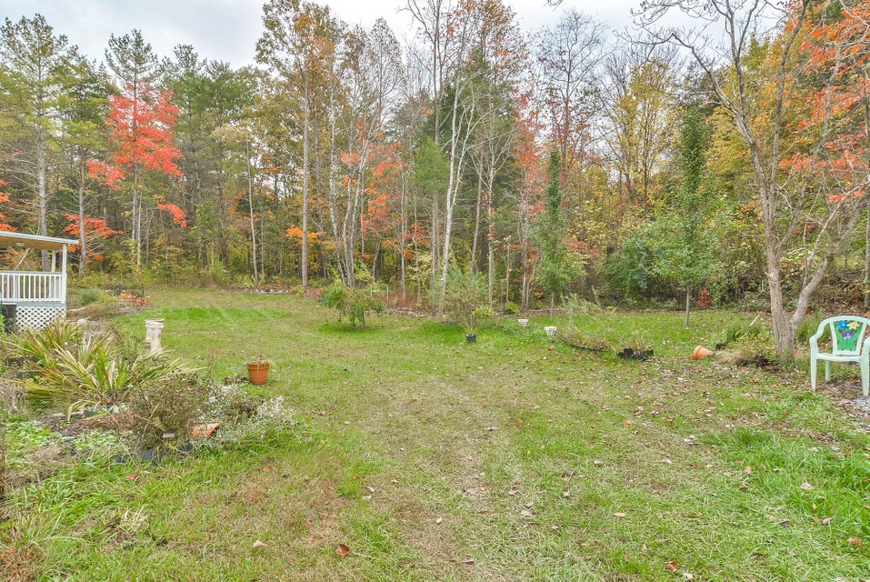 Photo #7: 2767 Watauga Rd Road