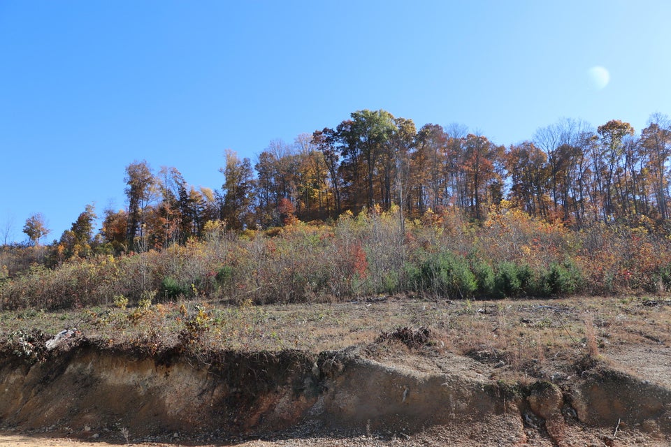 Photo #4: 741 Central Heights Rd Road