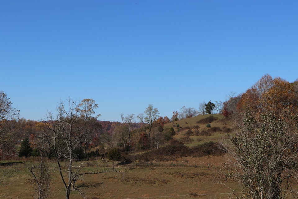 Photo #8: 741 Central Heights Rd Road