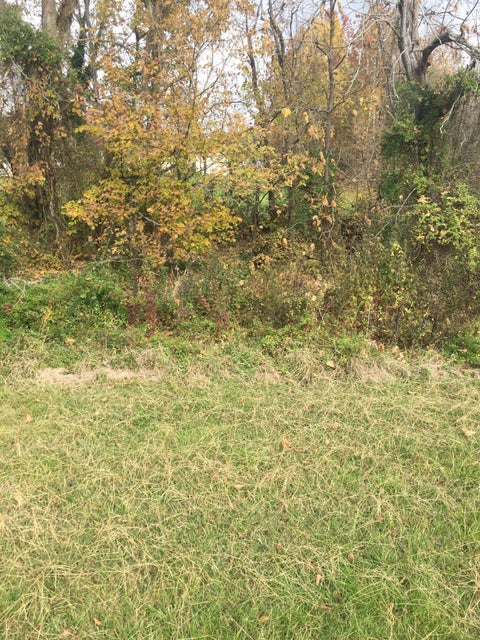 Photo #2: 134 Cassell Drive