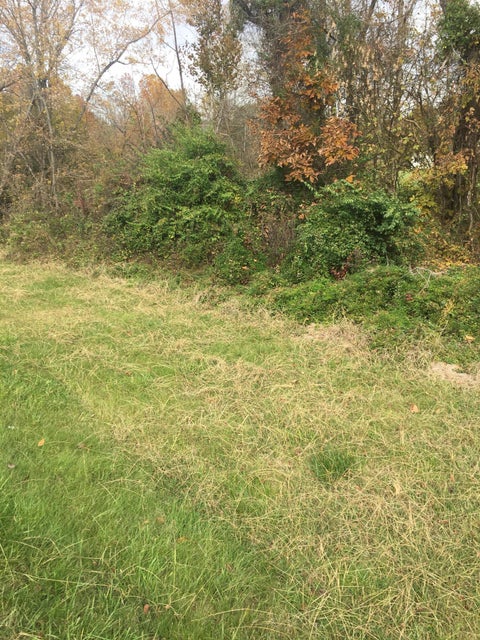 Photo #3: 134 Cassell Drive