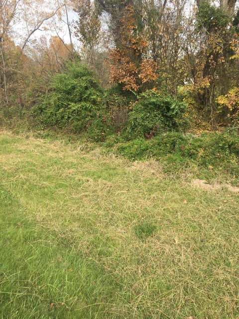 Photo #2: 138 Cassell Drive