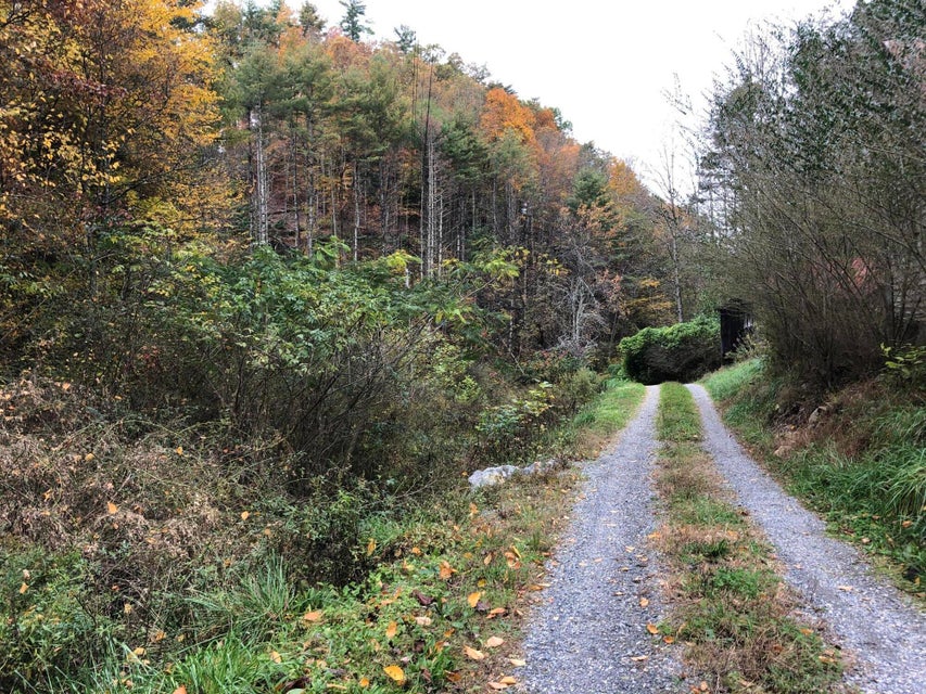 Photo #36: 410 Seay Hollow Road