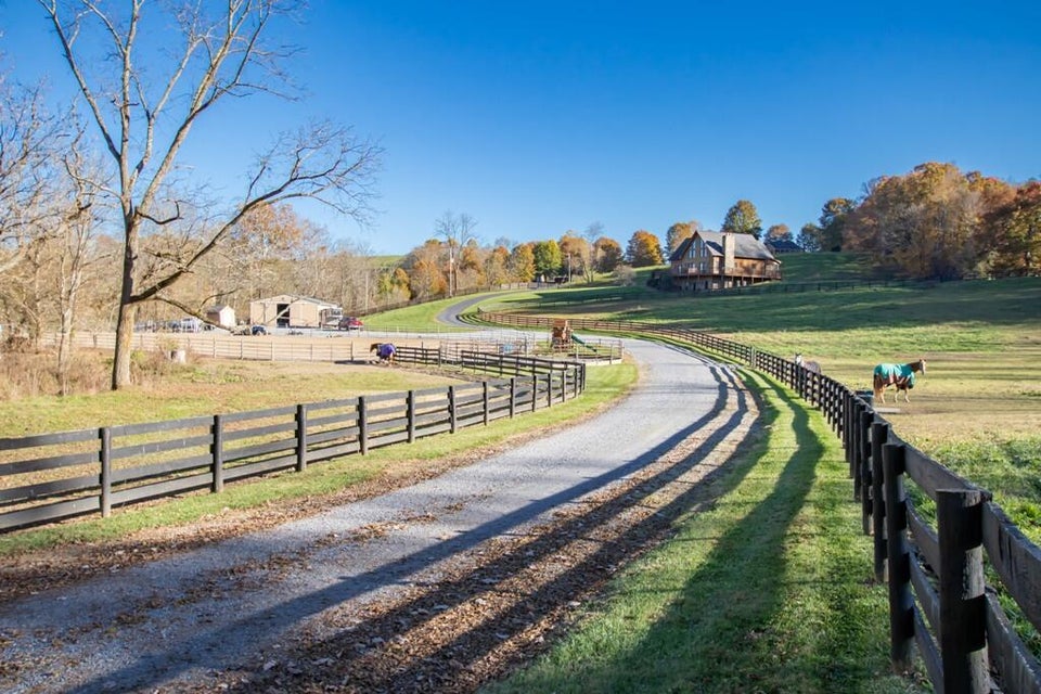 Photo #4: 29458 Blue Spring Road