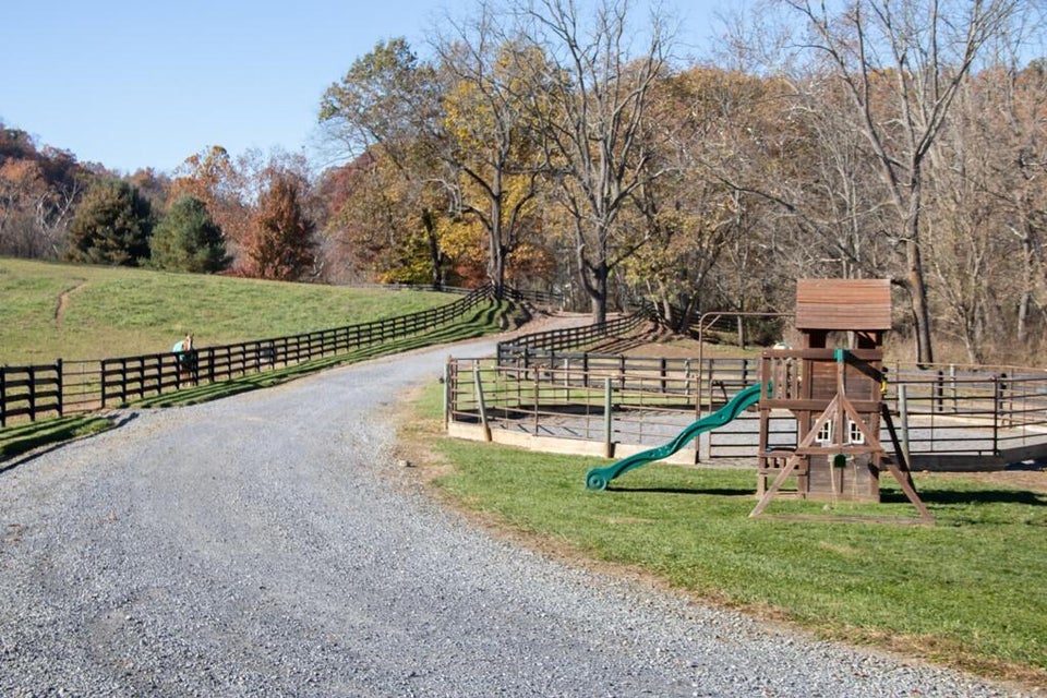 Photo #46: 29458 Blue Spring Road