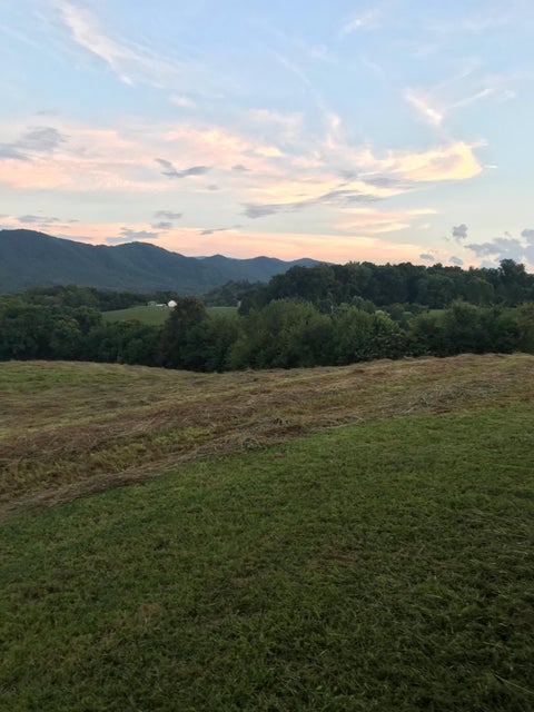 Photo #2: Tbd Treadway Trail